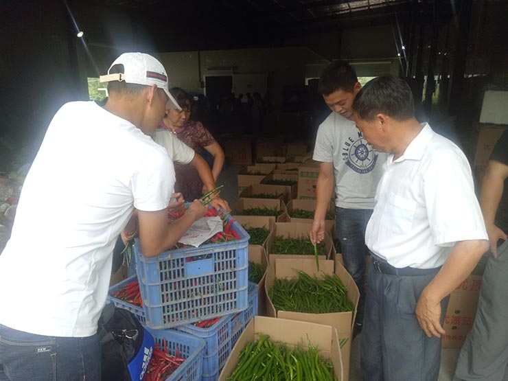 J9集团国际(中国)-官方网站