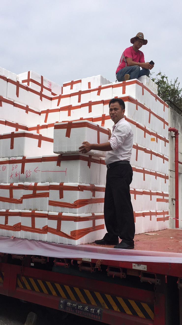 J9集团国际(中国)-官方网站