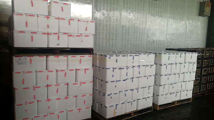 J9集团国际(中国)-官方网站