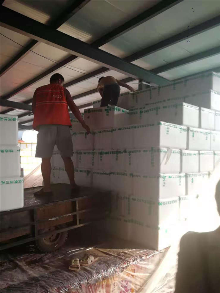 J9集团国际(中国)-官方网站