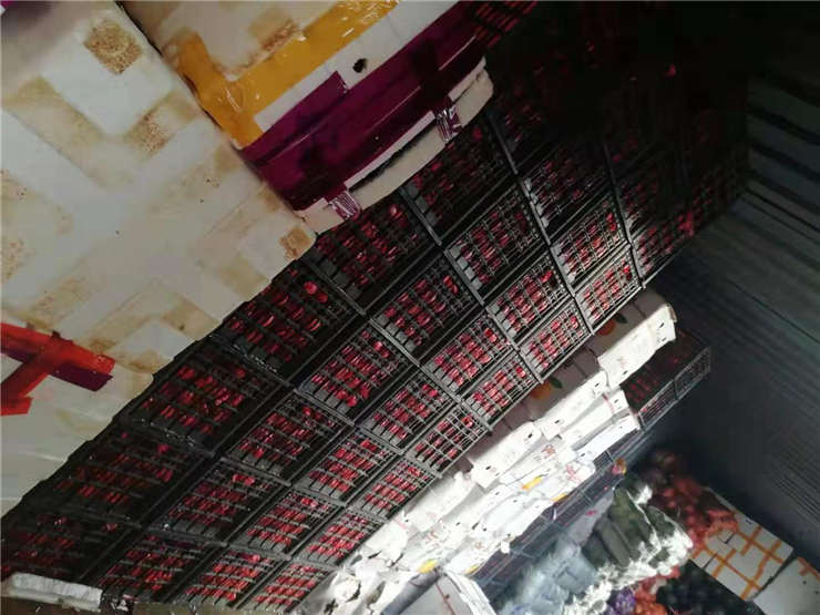 J9集团国际(中国)-官方网站