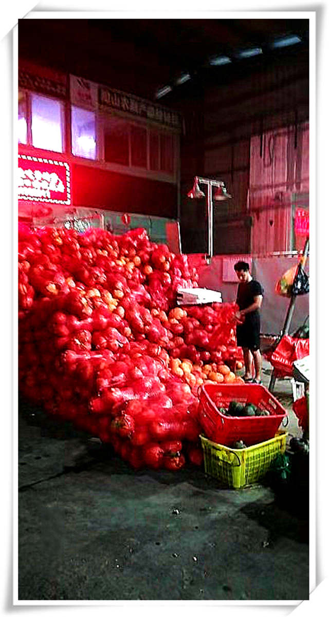 J9集团国际(中国)-官方网站