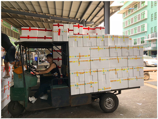 J9集团国际(中国)-官方网站