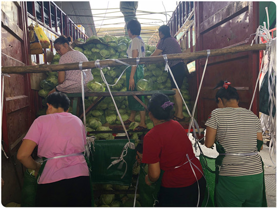 J9集团国际(中国)-官方网站