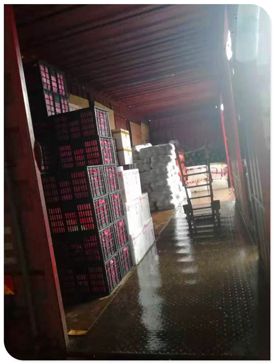 J9集团国际(中国)-官方网站