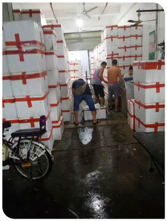 J9集团国际(中国)-官方网站