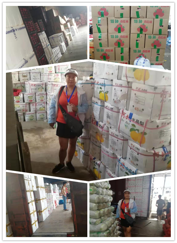 J9集团国际(中国)-官方网站