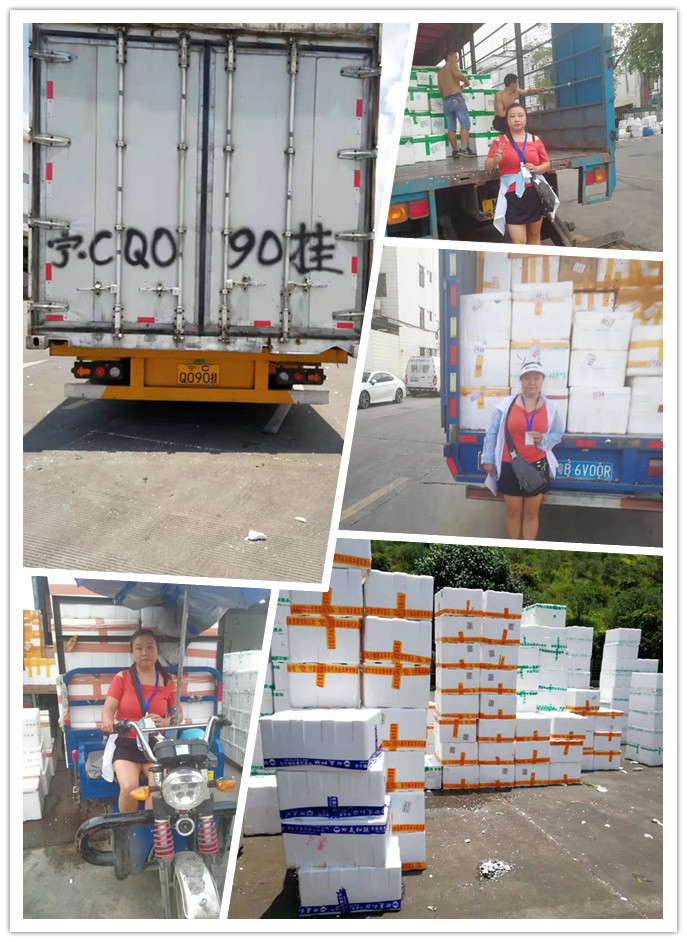 J9集团国际(中国)-官方网站