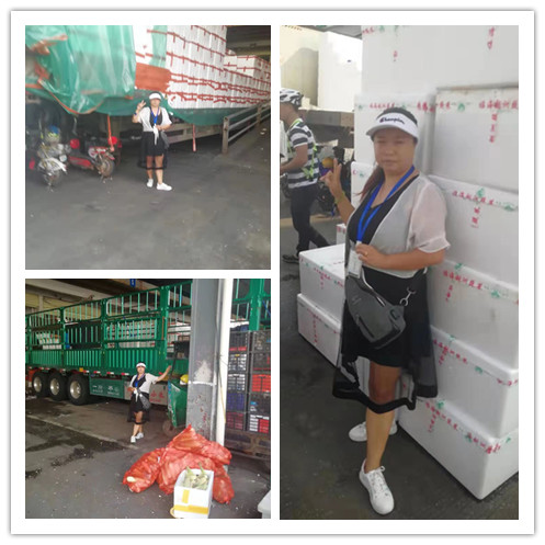 J9集团国际(中国)-官方网站