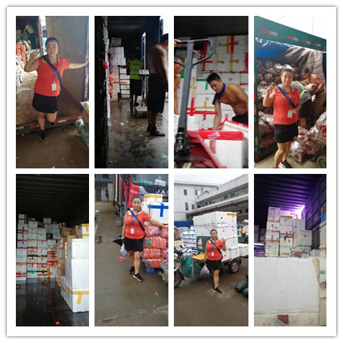 J9集团国际(中国)-官方网站