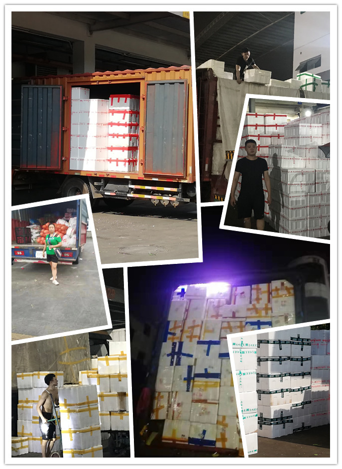 J9集团国际(中国)-官方网站