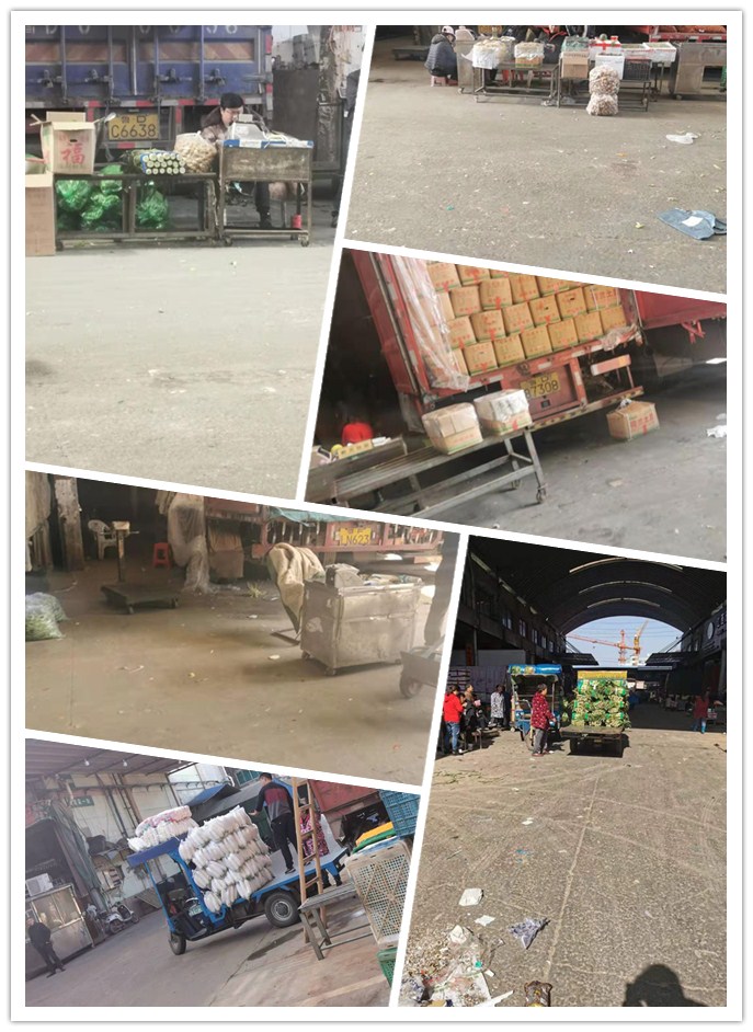 J9集团国际(中国)-官方网站