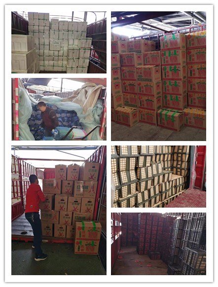 J9集团国际(中国)-官方网站