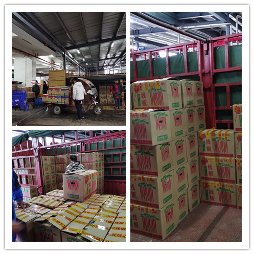 J9集团国际(中国)-官方网站