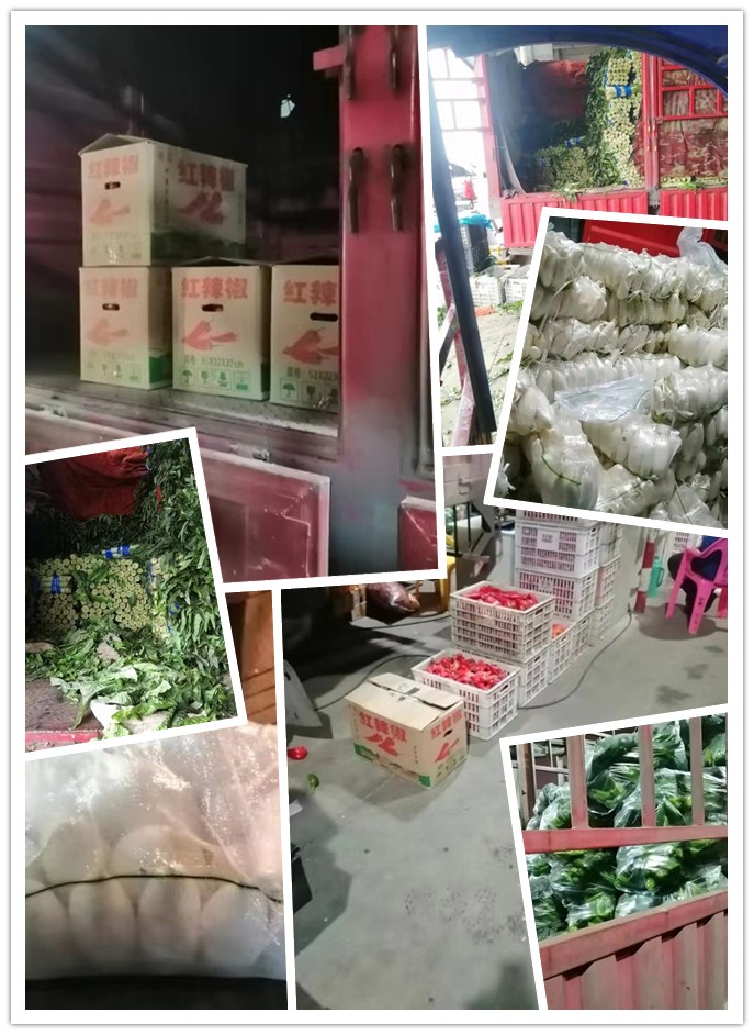 J9集团国际(中国)-官方网站