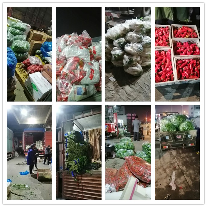 J9集团国际(中国)-官方网站