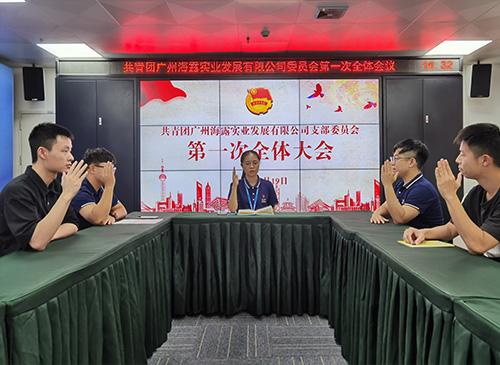 凝聚青春奋斗力量，集团团支部正式成立！