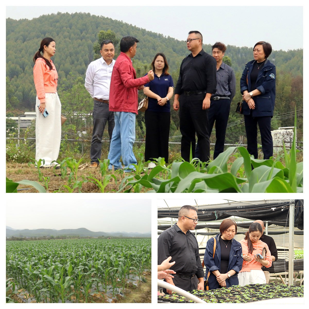 J9集团国际(中国)-官方网站