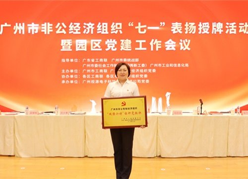 标杆引领，荣誉升级！集团党支部荣膺广州市非公有造经济组织“双强六好”标
